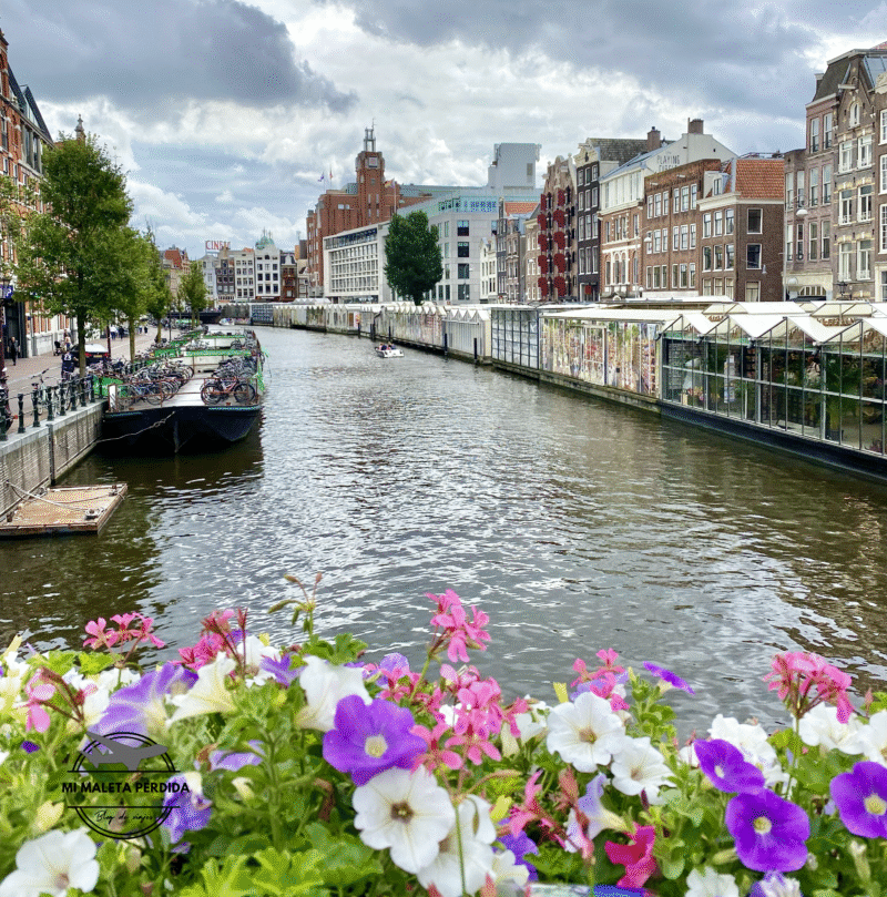 Mercado de flores Bloemenmarkt de Ámsterdam.