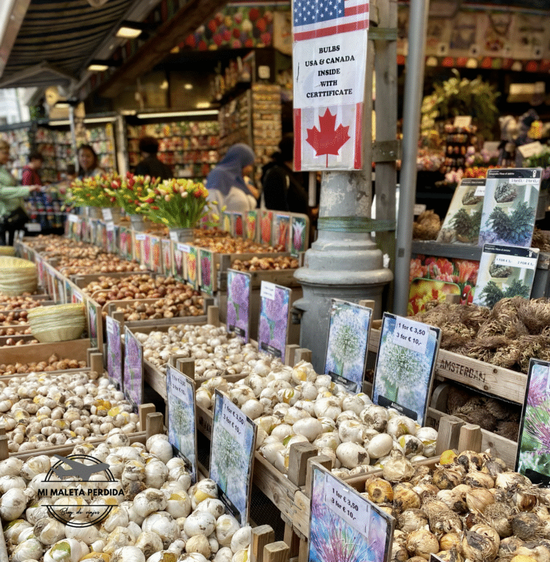 Puesto de bulbos en Bloemenmarkt, Ámsterdam.