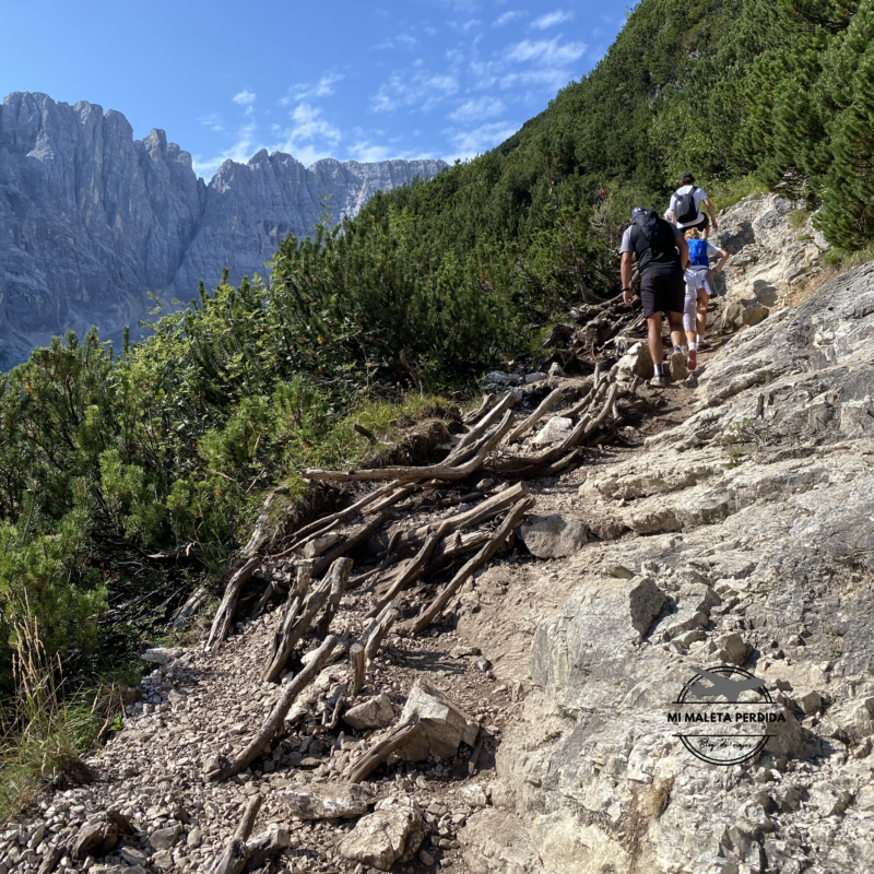 Sendero 215 con raíces que sube al lago di Sorapis, Dolomitas.