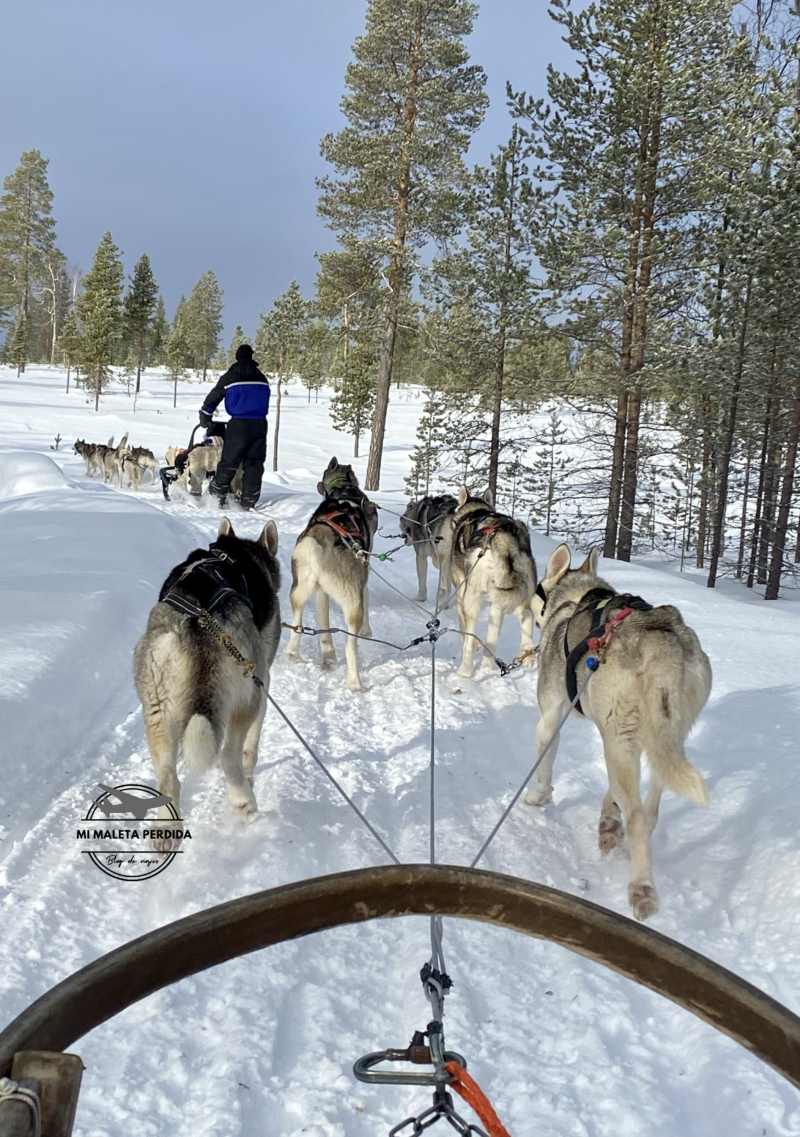 Trineo tirado por huskies en Finlandia.