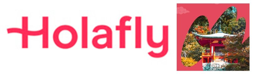 HOLAFLY LOGO JAPÓN