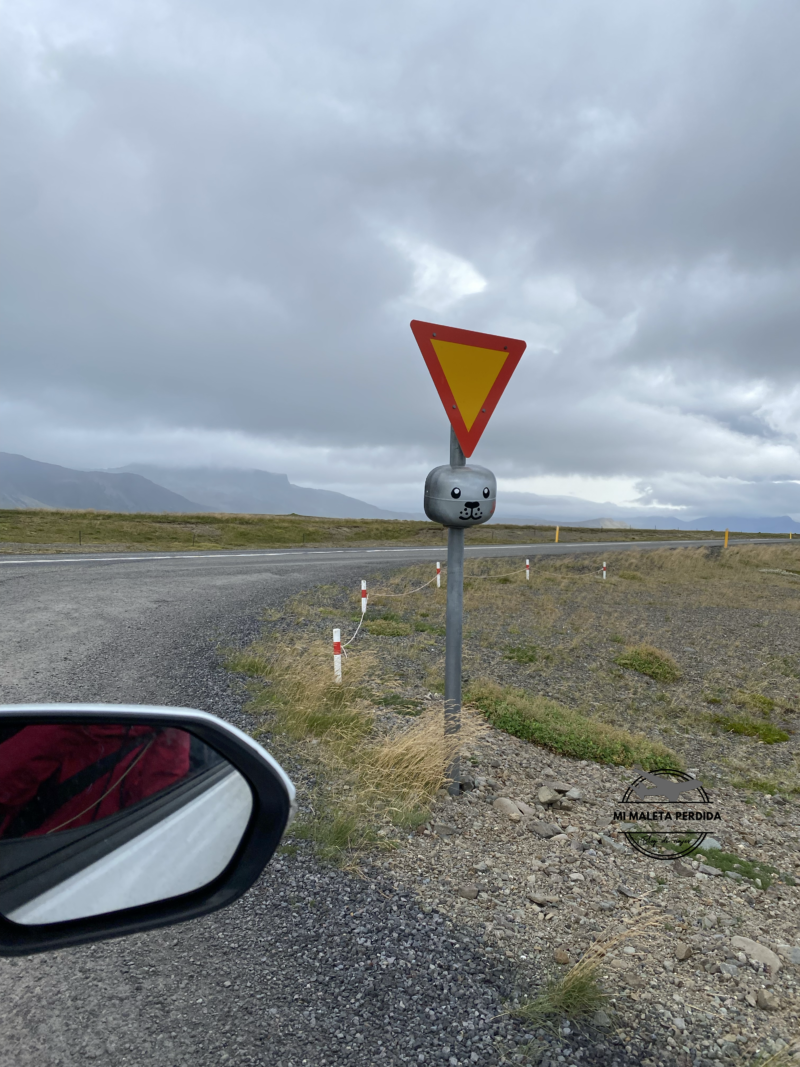 Camino a la playa de Ytri Tunga, Islandia.